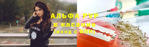 прущие крисы Аркадак