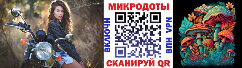 Псилоцибиновые грибы мухоморы  Лермонтов 